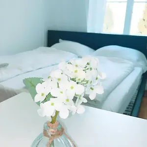  Apartamento Deluxe Double Kp